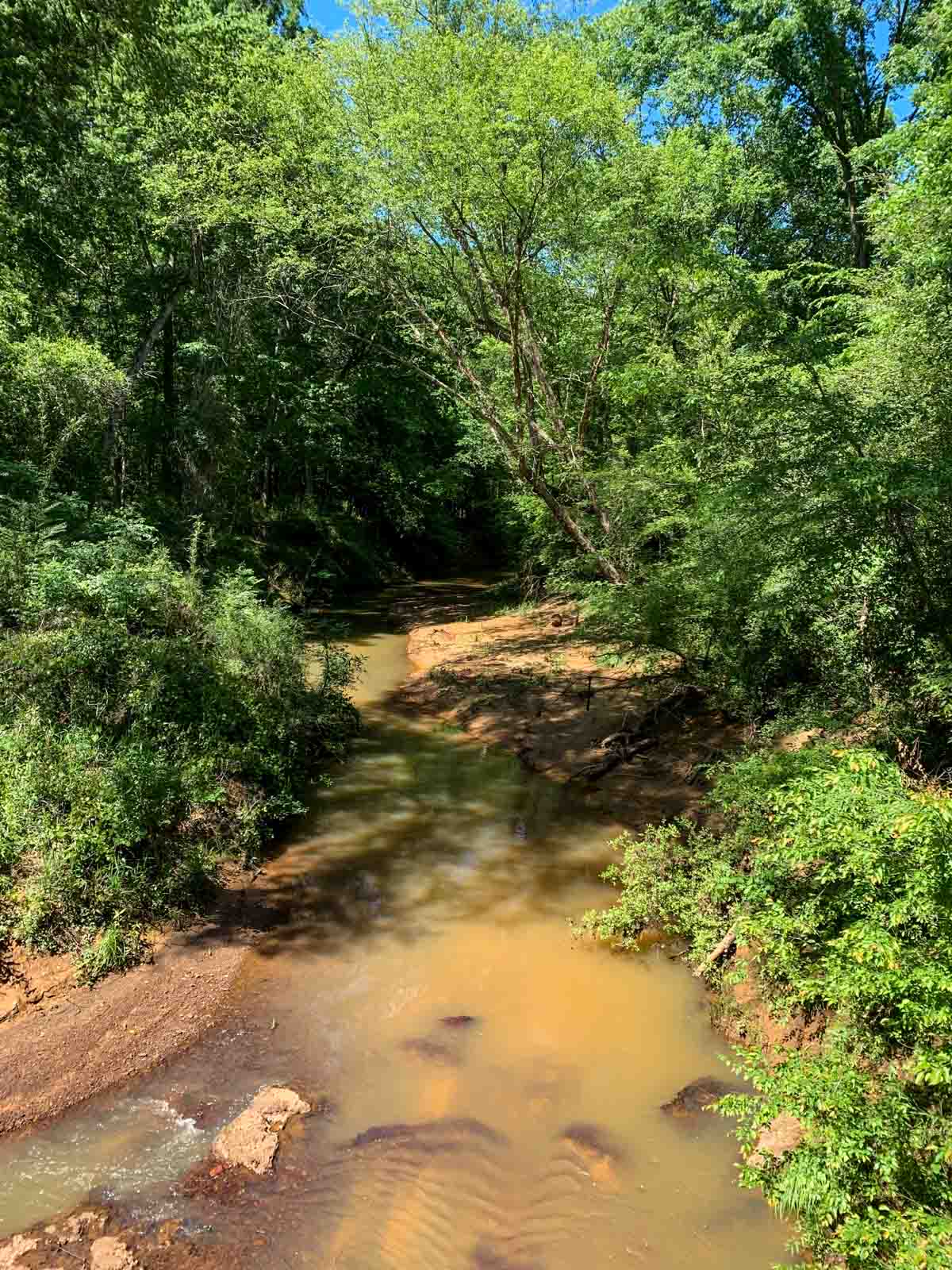 Iron Bridge Creek Ranch property picture 59 of 84