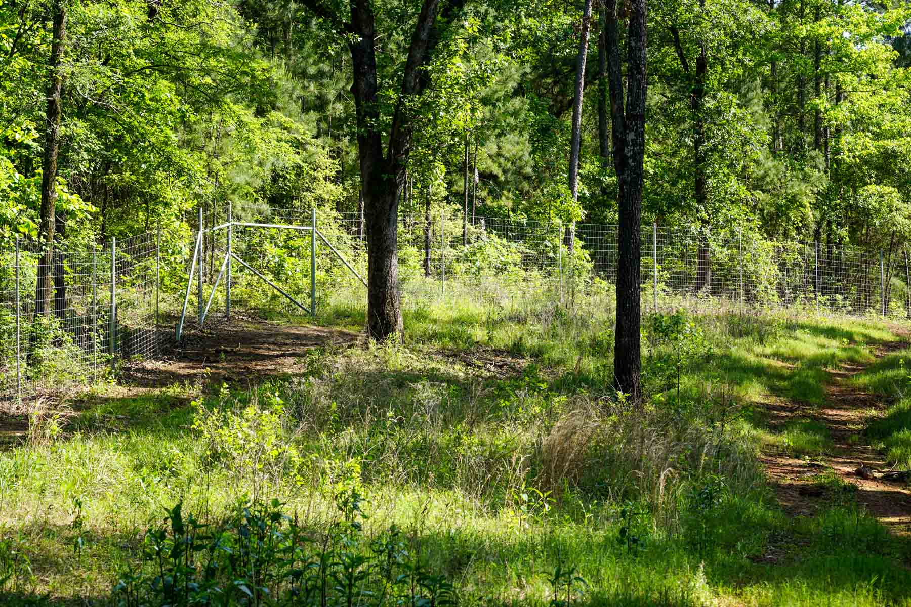 Iron Bridge Creek Ranch property picture 73 of 84