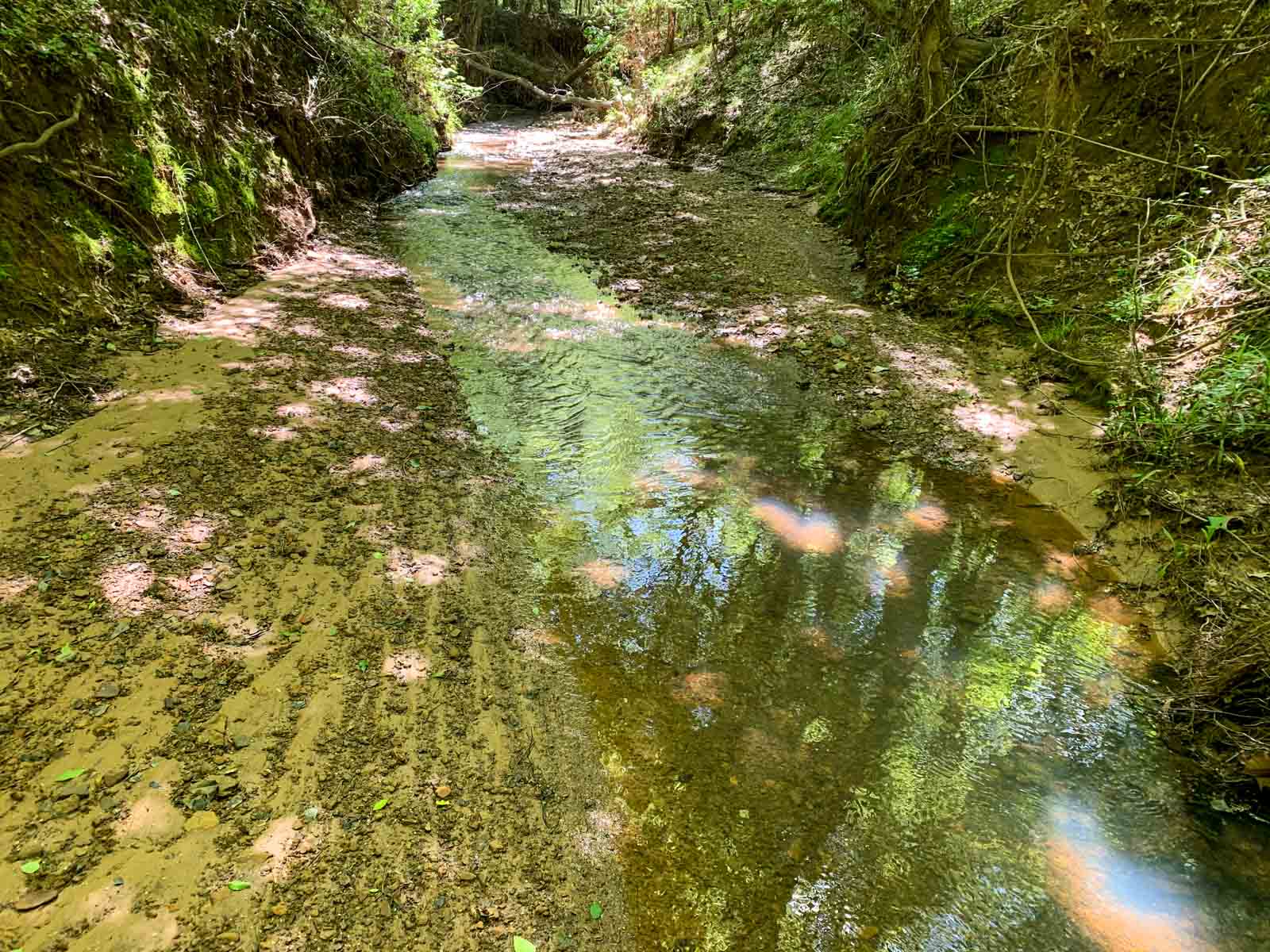 Iron Bridge Creek Ranch property picture 55 of 84