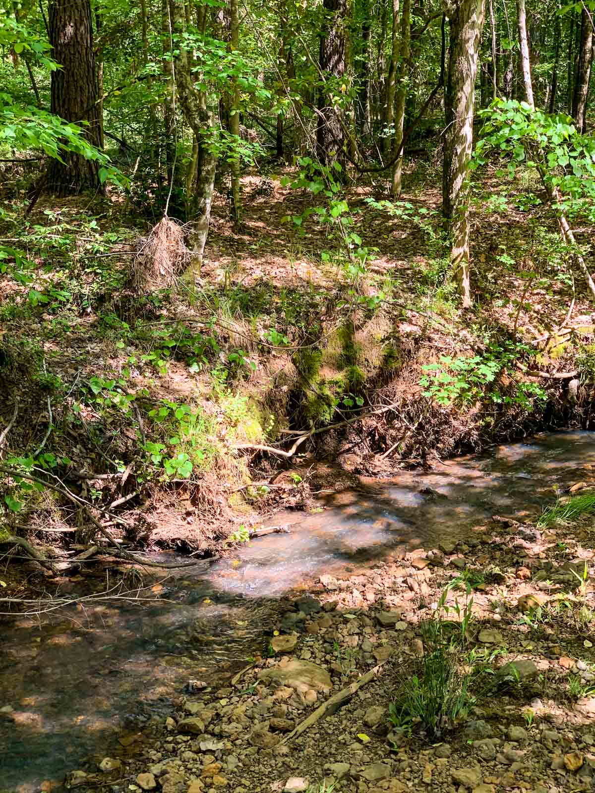Iron Bridge Creek Ranch property picture 68 of 84