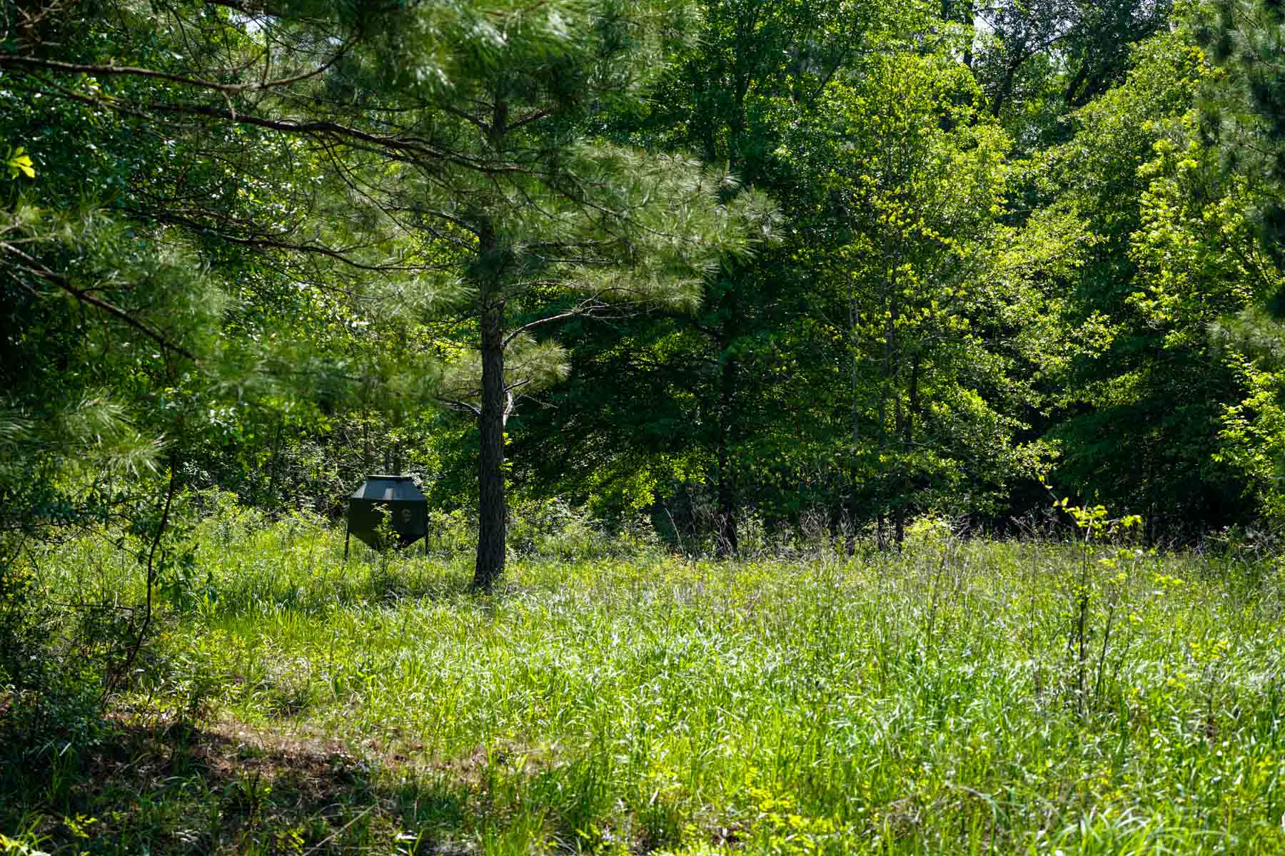 Iron Bridge Creek Ranch property picture 22 of 84