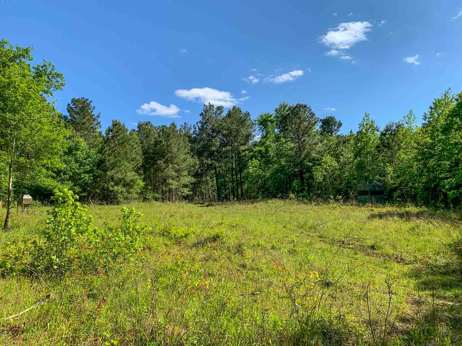 Iron Bridge Creek Ranch property picture 32 of 84
