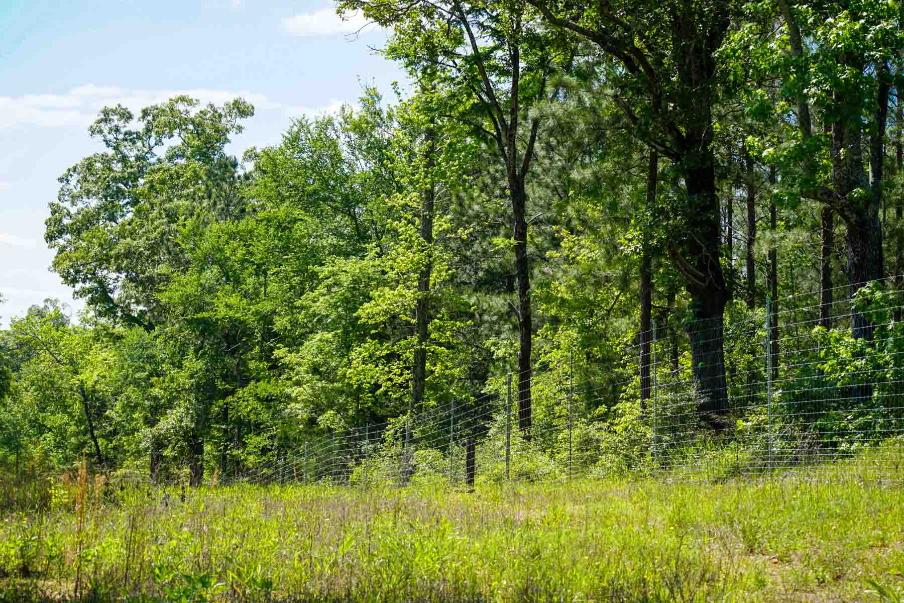 Iron Bridge Creek Ranch property picture 3 of 84