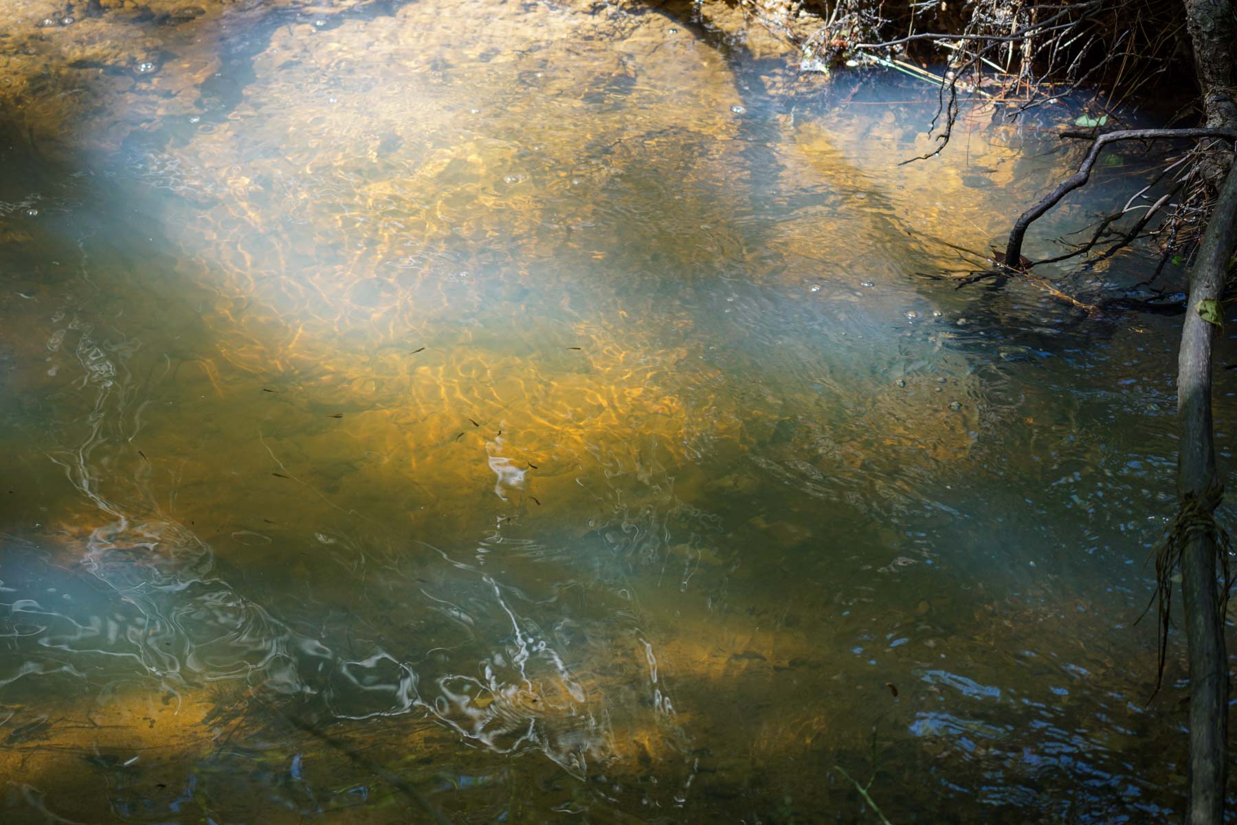 Iron Bridge Creek Ranch property picture 17 of 84