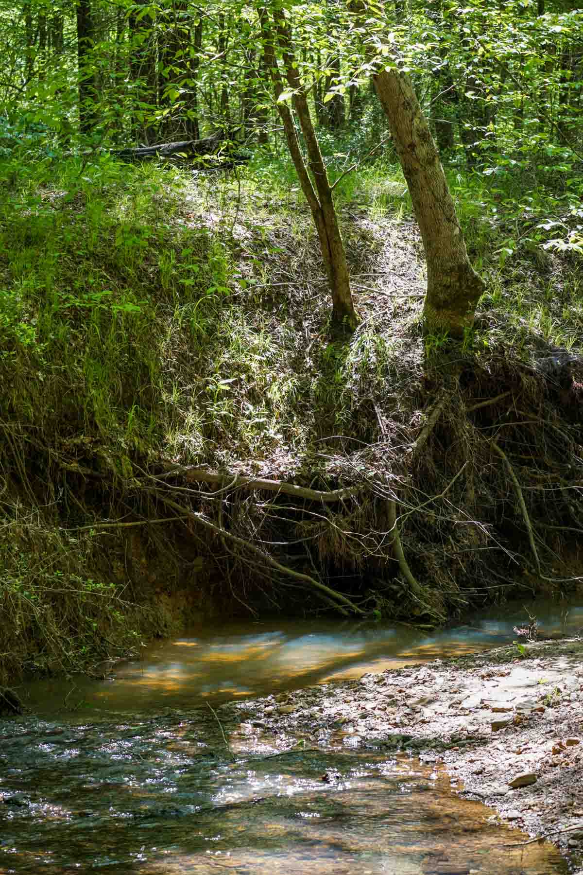 Iron Bridge Creek Ranch property picture 19 of 84