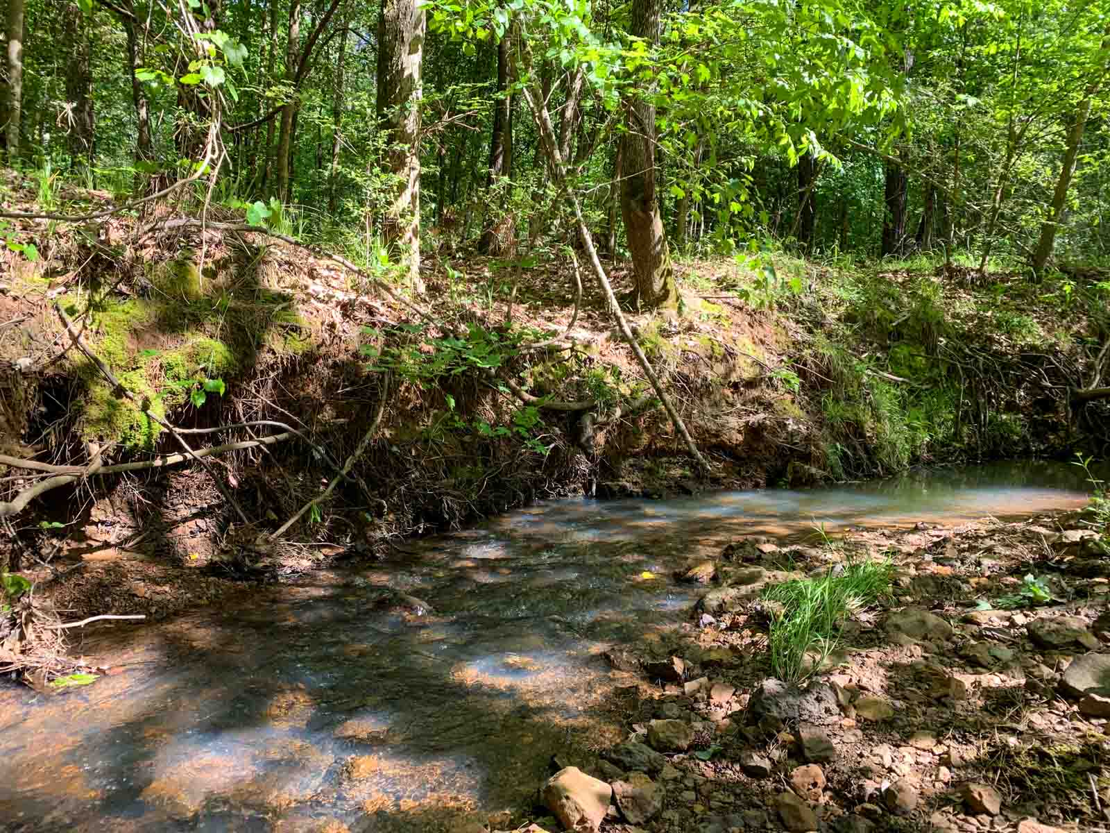 Iron Bridge Creek Ranch property picture 74 of 84