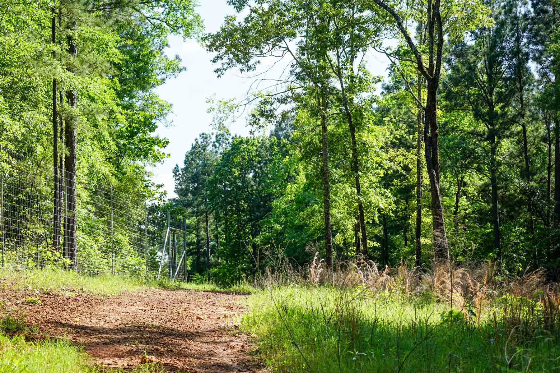 Iron Bridge Creek Ranch property picture 75 of 84