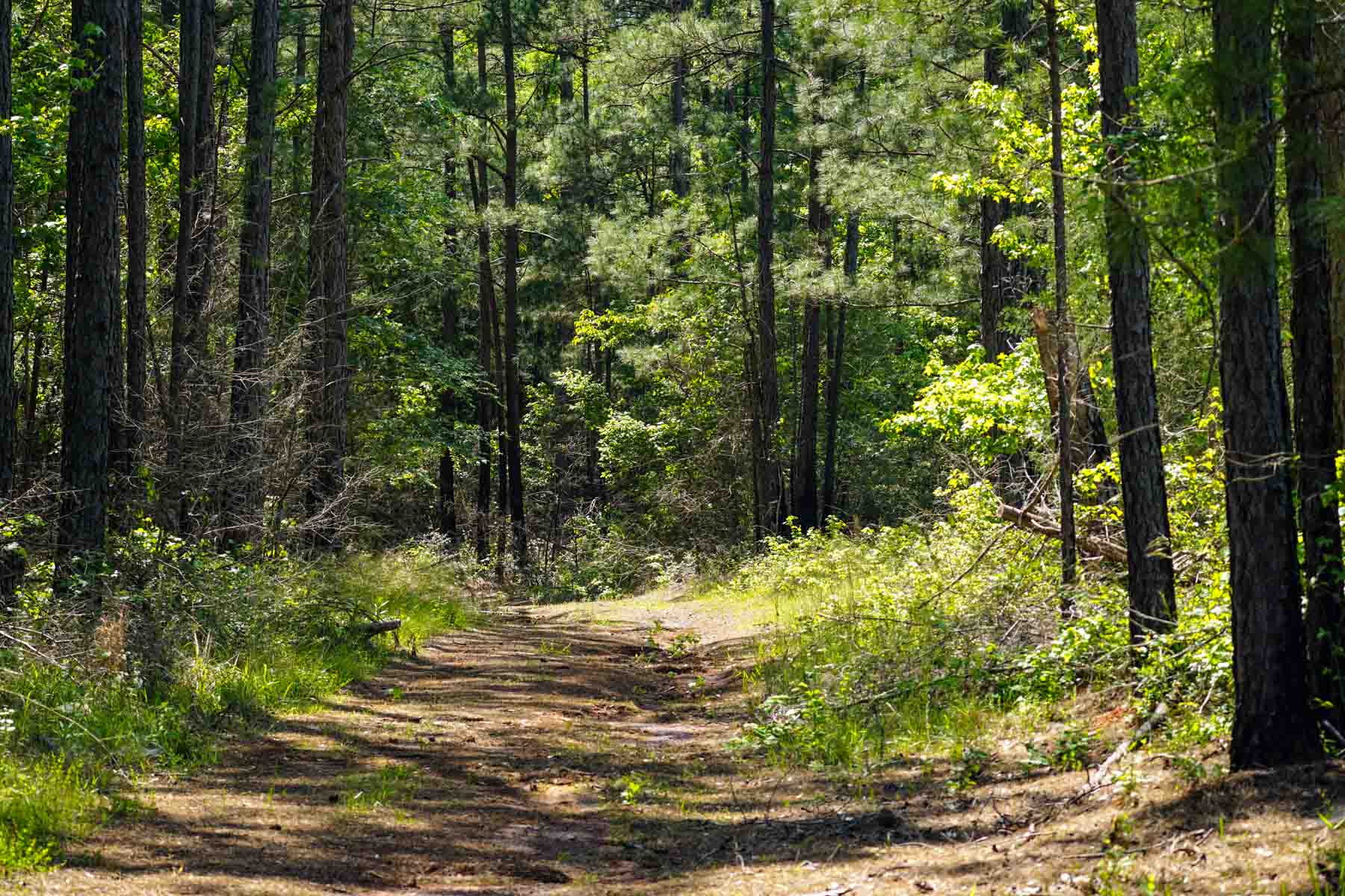 Iron Bridge Creek Ranch property picture 26 of 84
