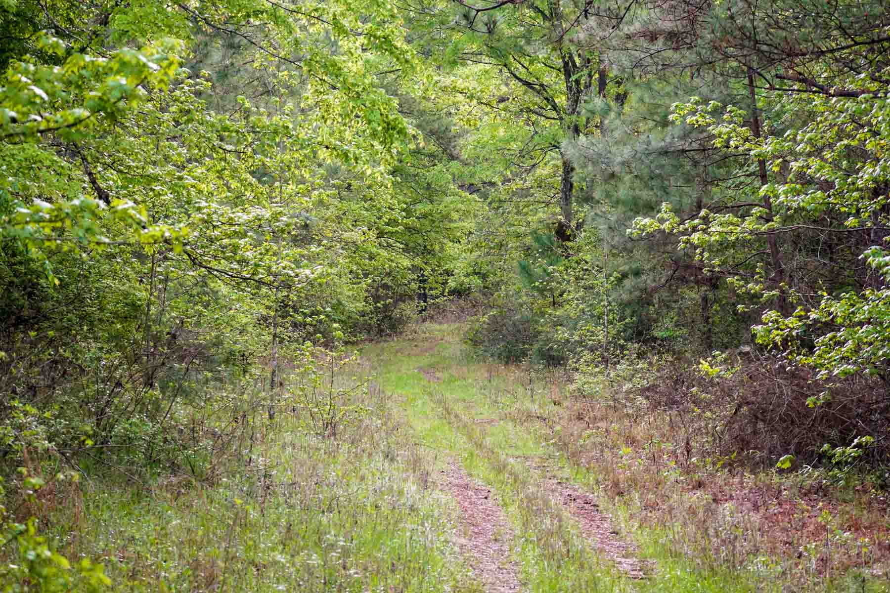 Iron Bridge Creek Ranch property picture 36 of 84