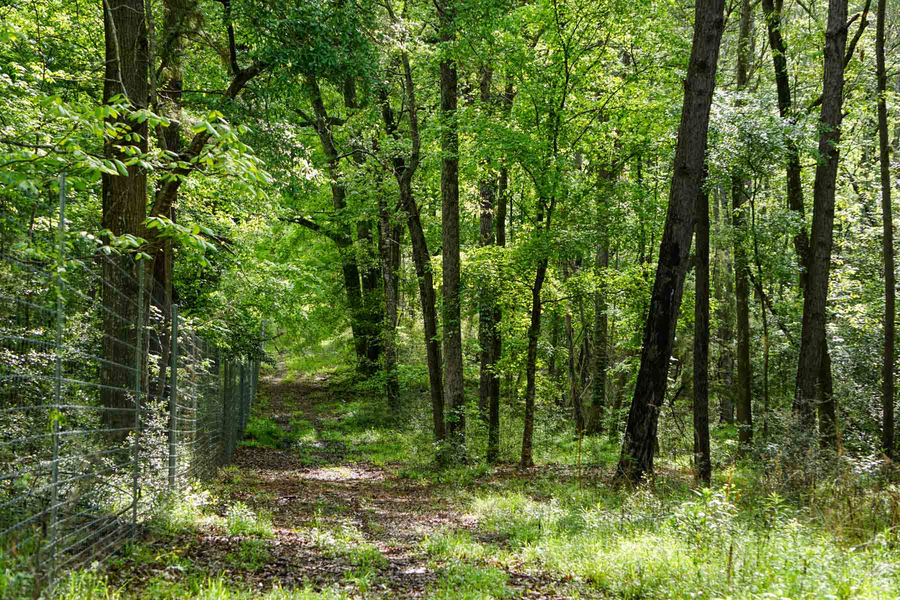 Iron Bridge Creek Ranch property picture 10 of 84