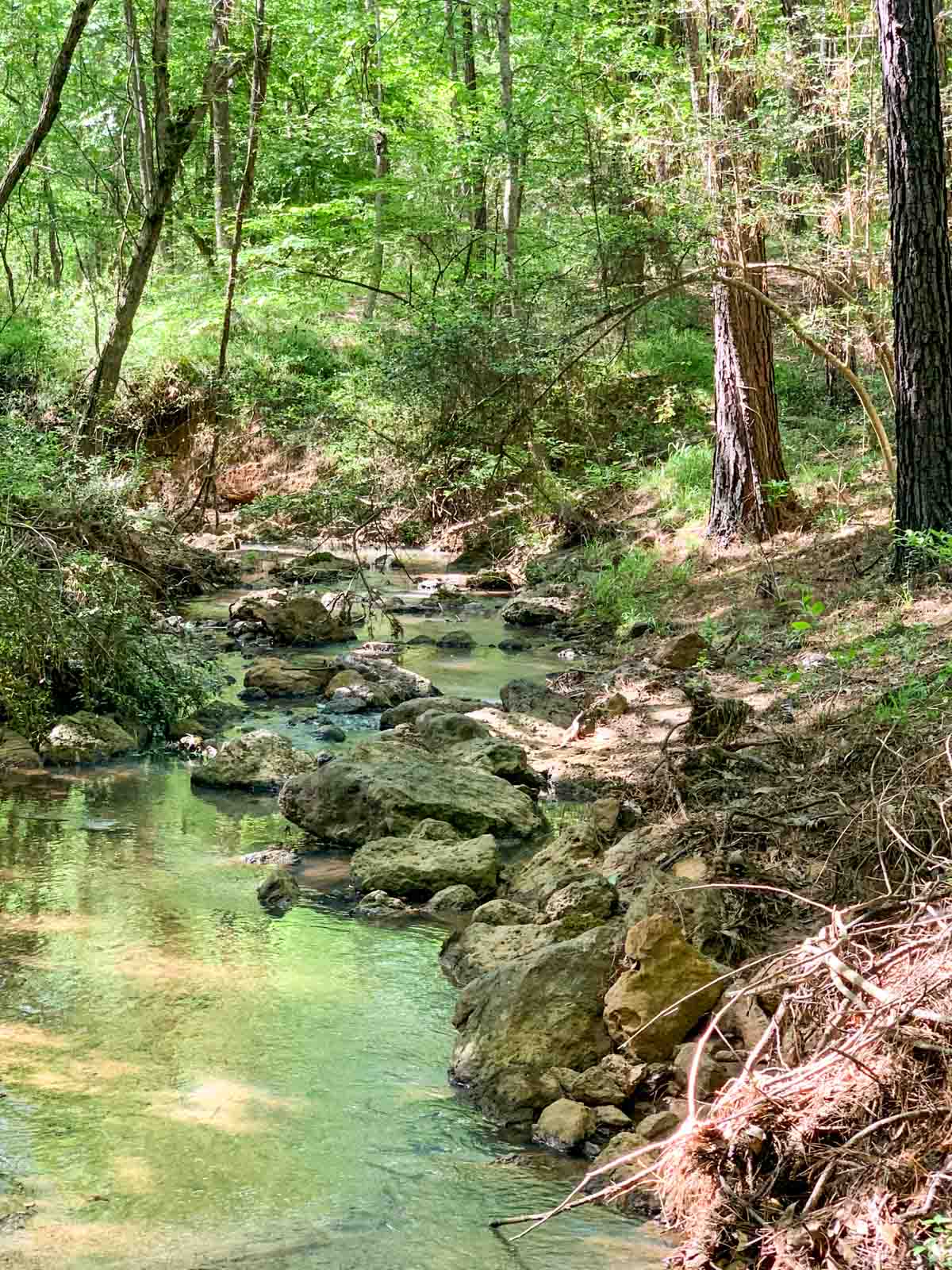 Iron Bridge Creek Ranch property picture 56 of 84