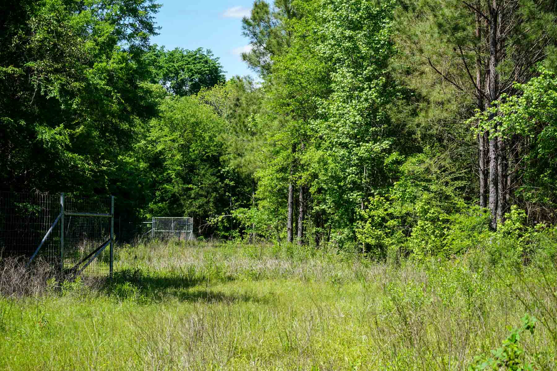 Iron Bridge Creek Ranch property picture 24 of 84