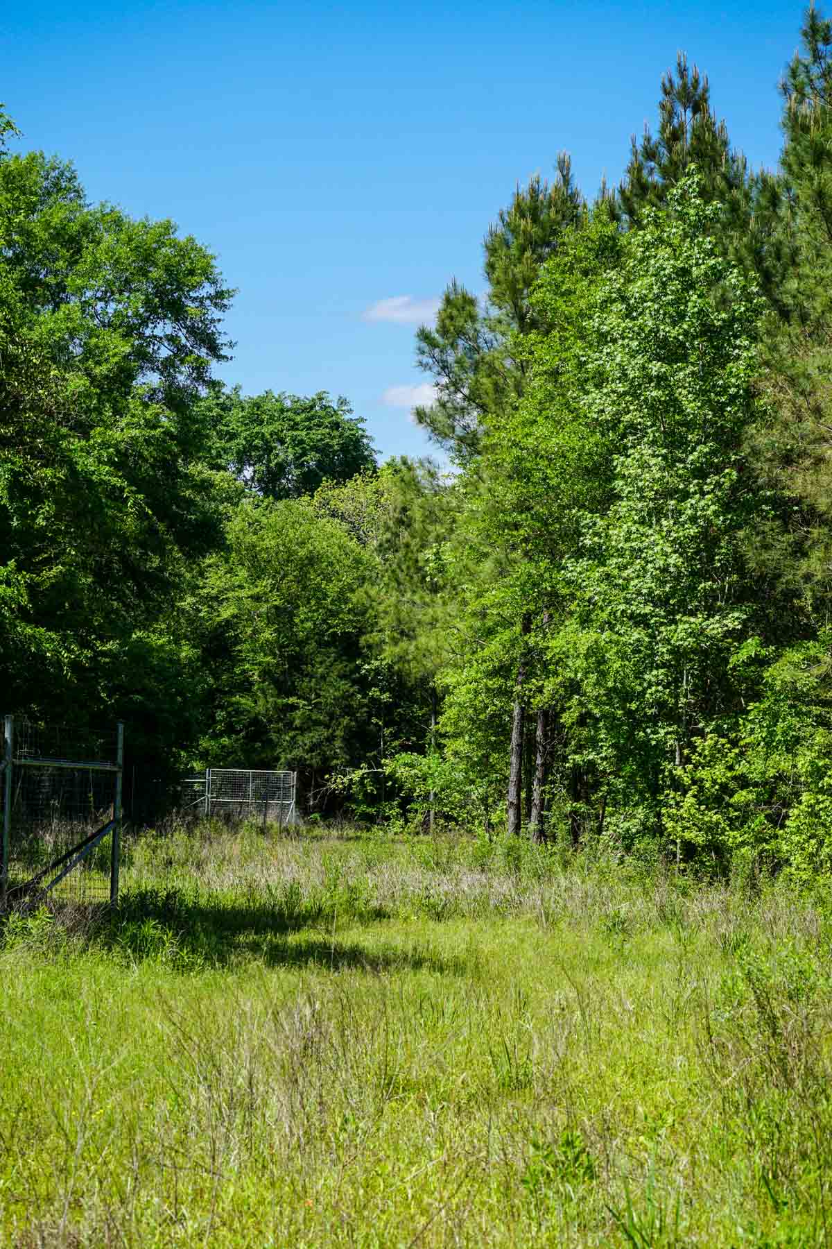 Iron Bridge Creek Ranch property picture 25 of 84