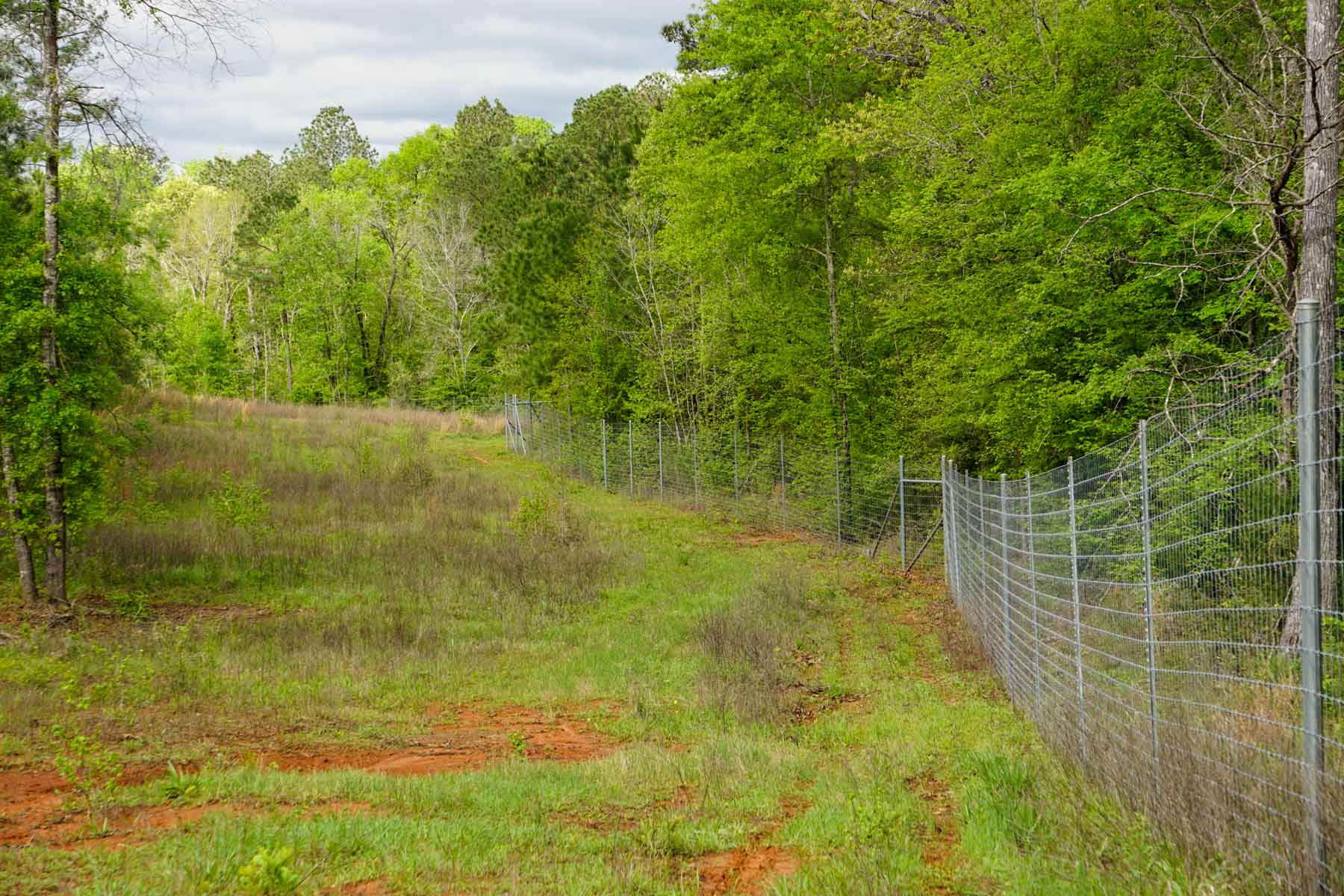 Iron Bridge Creek Ranch property picture 12 of 84