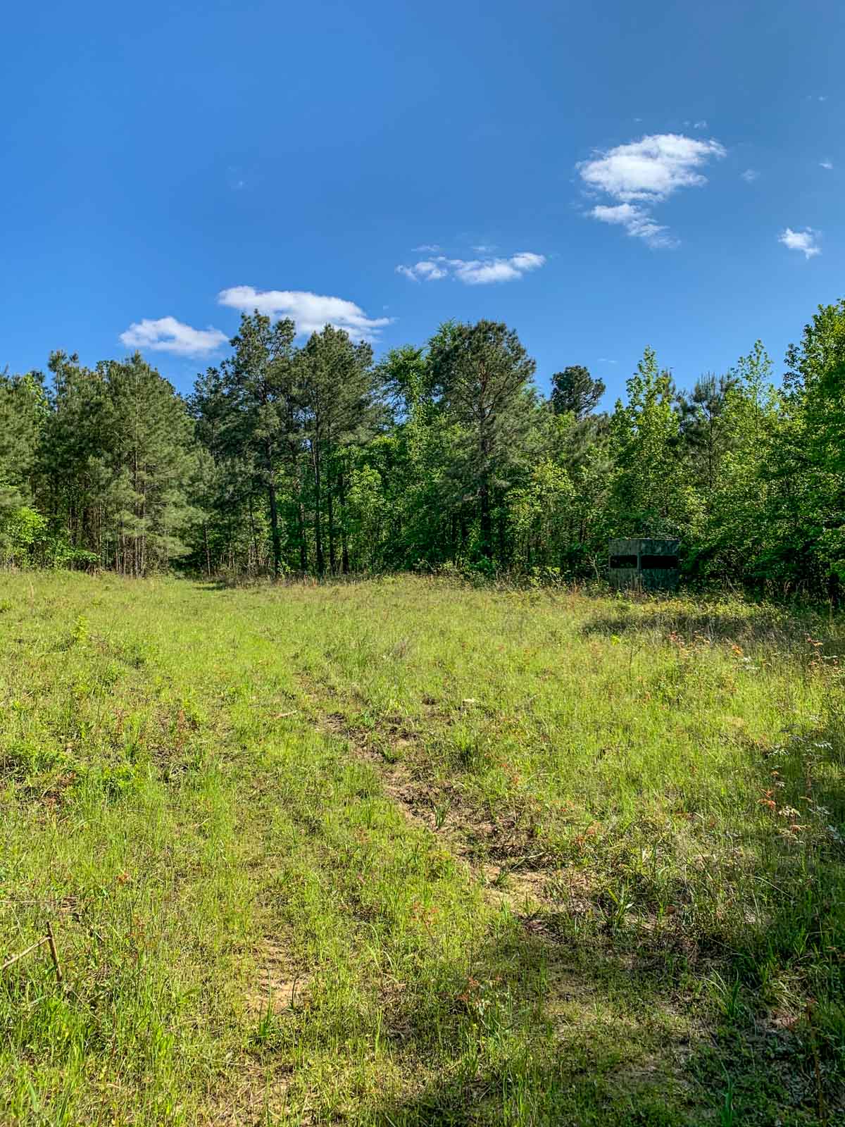 Iron Bridge Creek Ranch property picture 80 of 84
