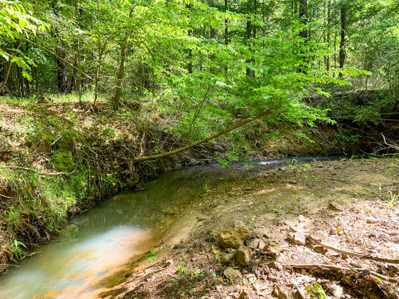 Iron Bridge Creek Ranch property picture 77 of 84