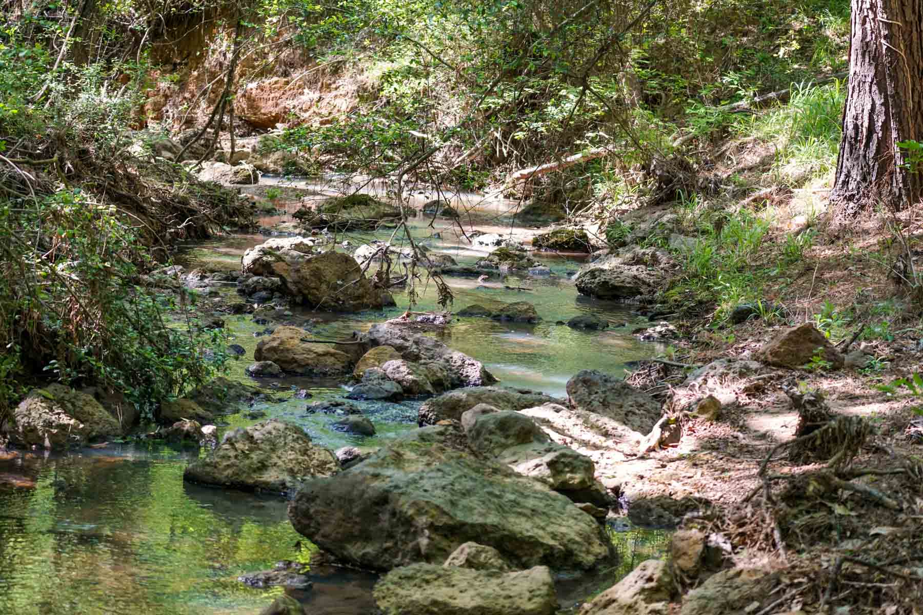 Iron Bridge Creek Ranch property picture 60 of 84