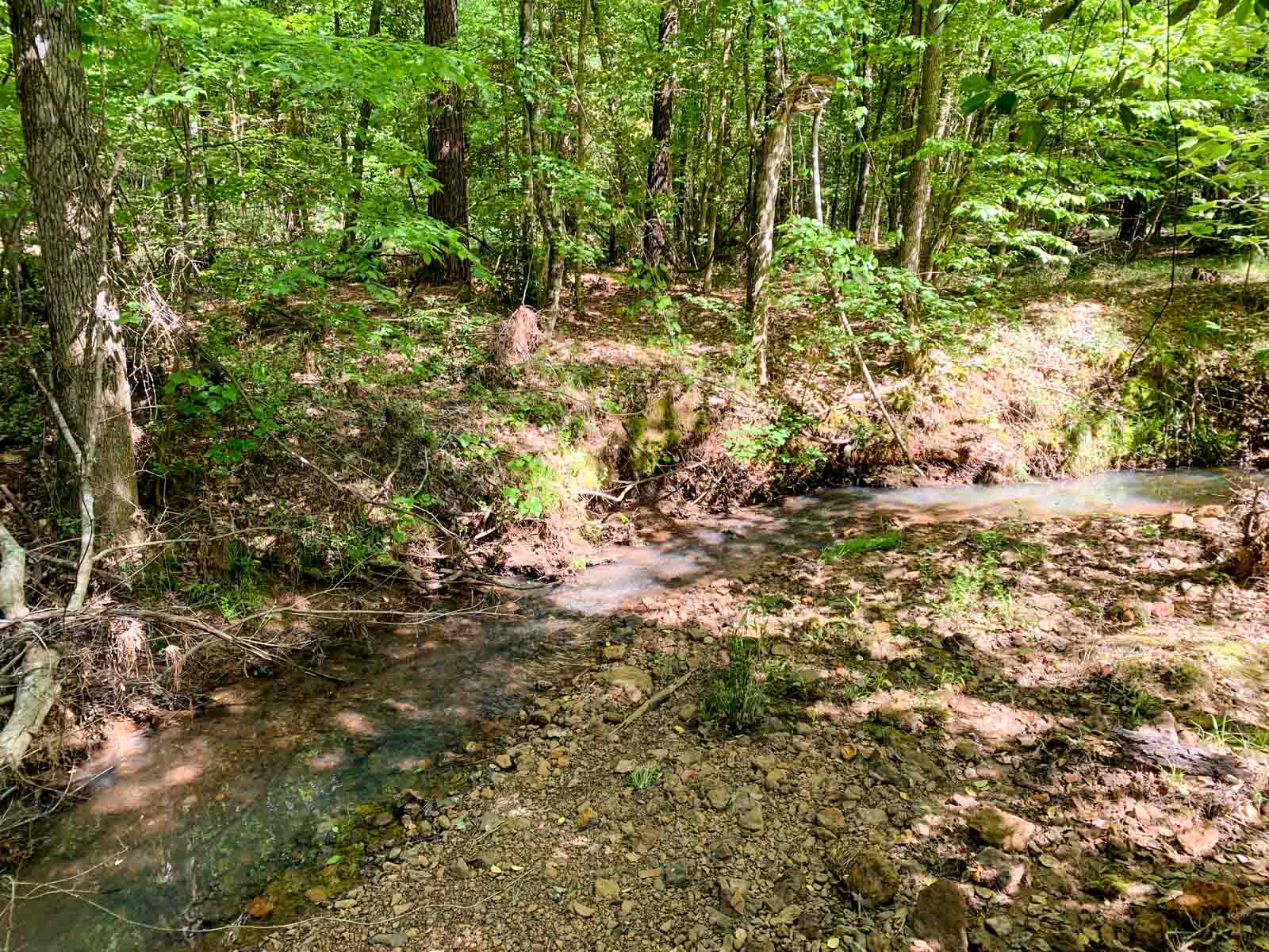 Iron Bridge Creek Ranch property picture 72 of 84