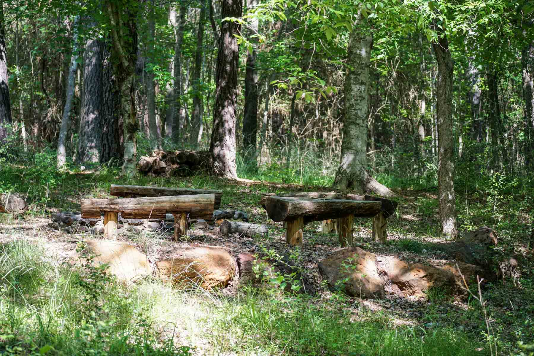 Iron Bridge Creek Ranch property picture 58 of 84