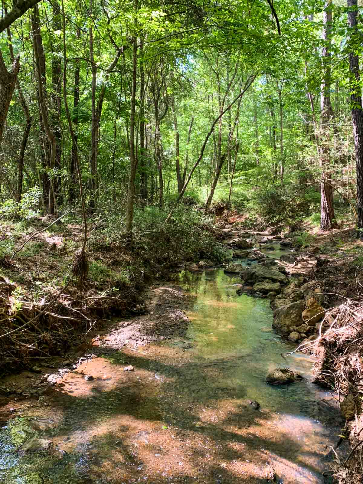 Iron Bridge Creek Ranch property picture 78 of 84