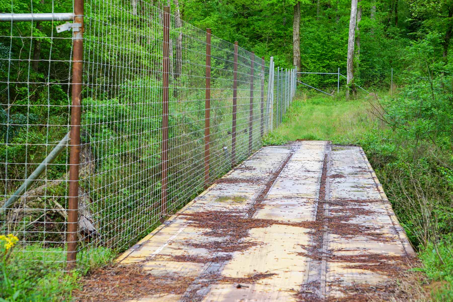 Iron Bridge Creek Ranch property picture 8 of 84
