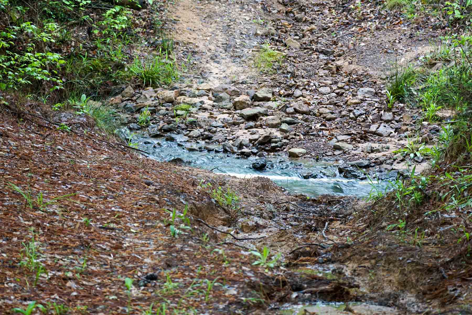 Iron Bridge Creek Ranch property picture 9 of 84