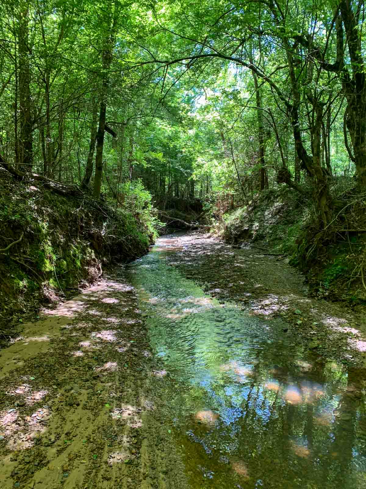 Iron Bridge Creek Ranch property picture 30 of 84
