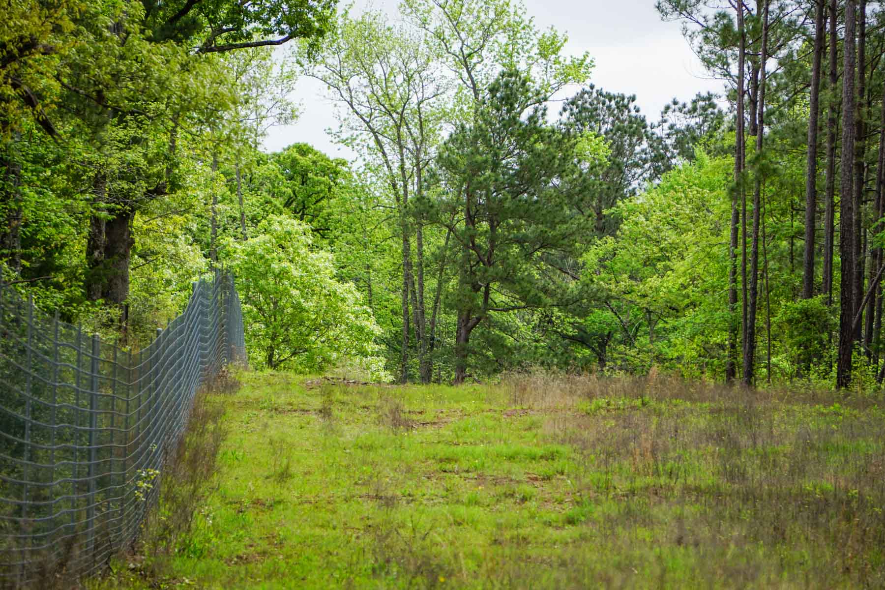Iron Bridge Creek Ranch property picture 13 of 84