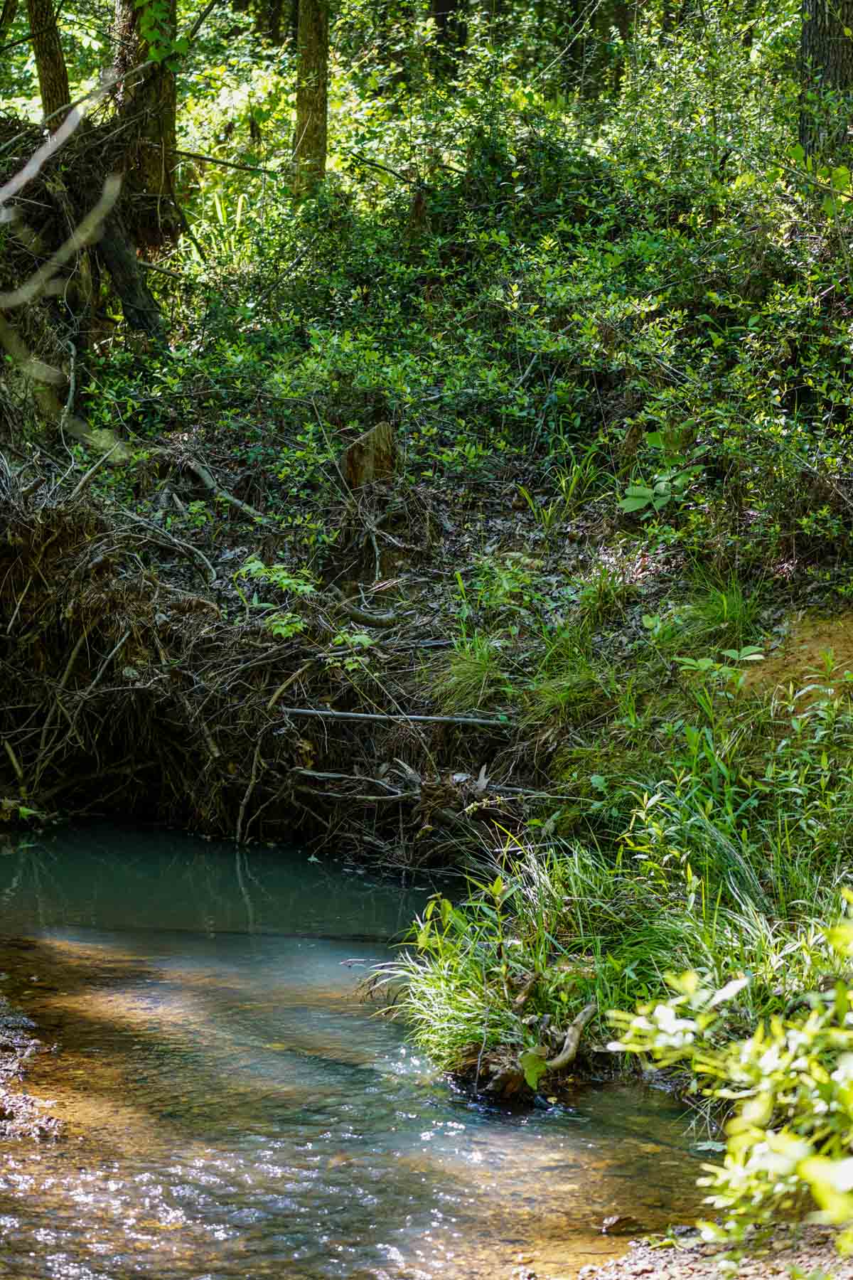 Iron Bridge Creek Ranch property picture 57 of 84