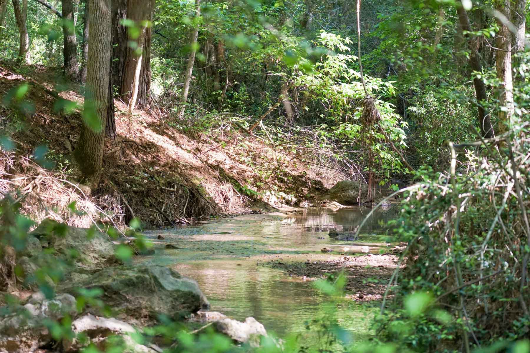 Iron Bridge Creek Ranch property picture 62 of 84
