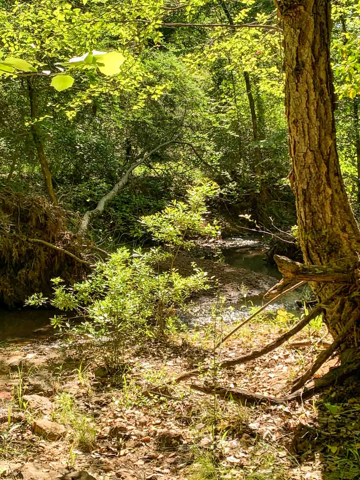 Iron Bridge Creek Ranch property picture 76 of 84