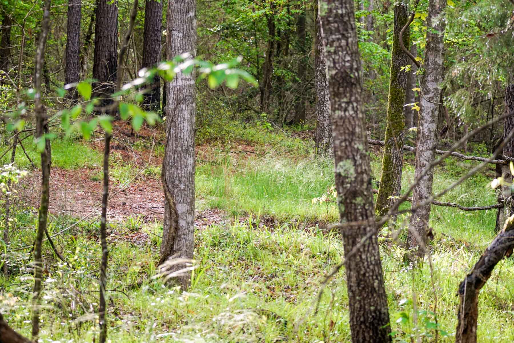 Iron Bridge Creek Ranch property picture 52 of 84