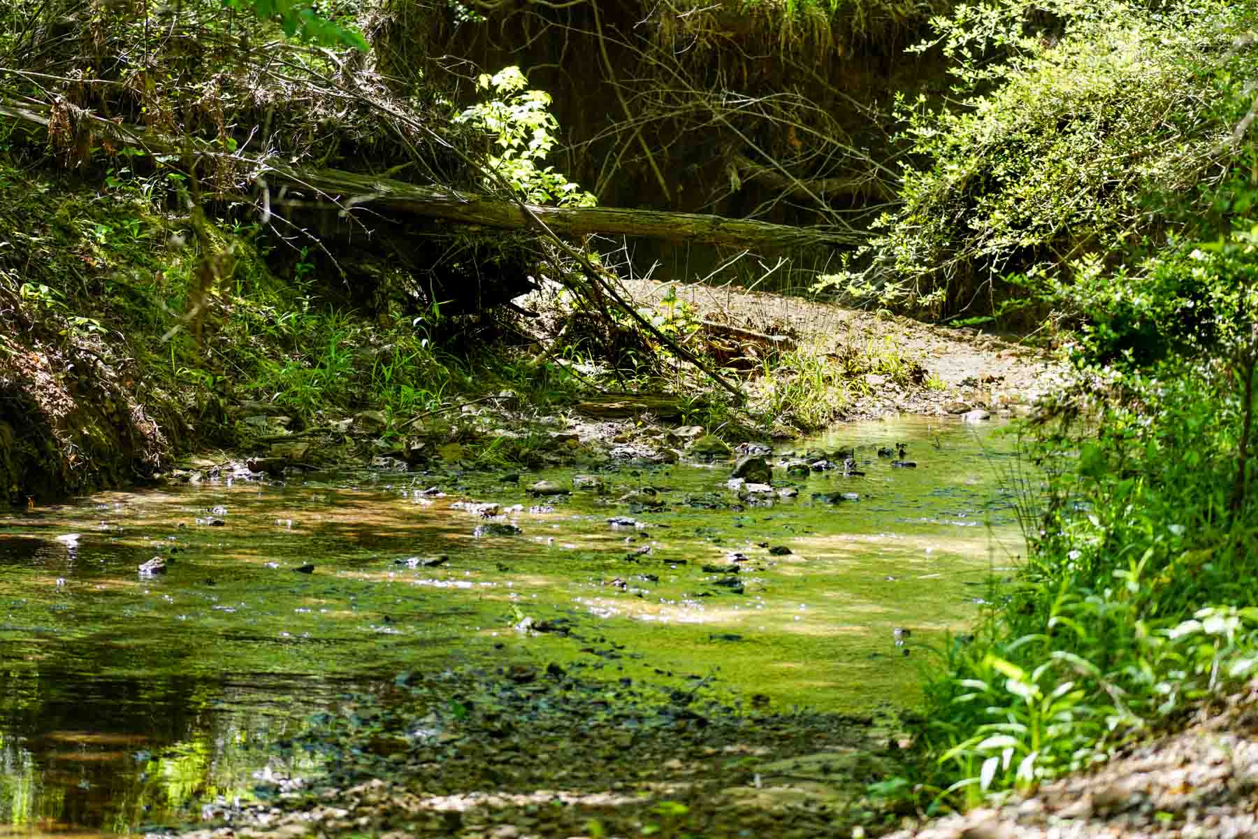 Iron Bridge Creek Ranch property picture 20 of 84