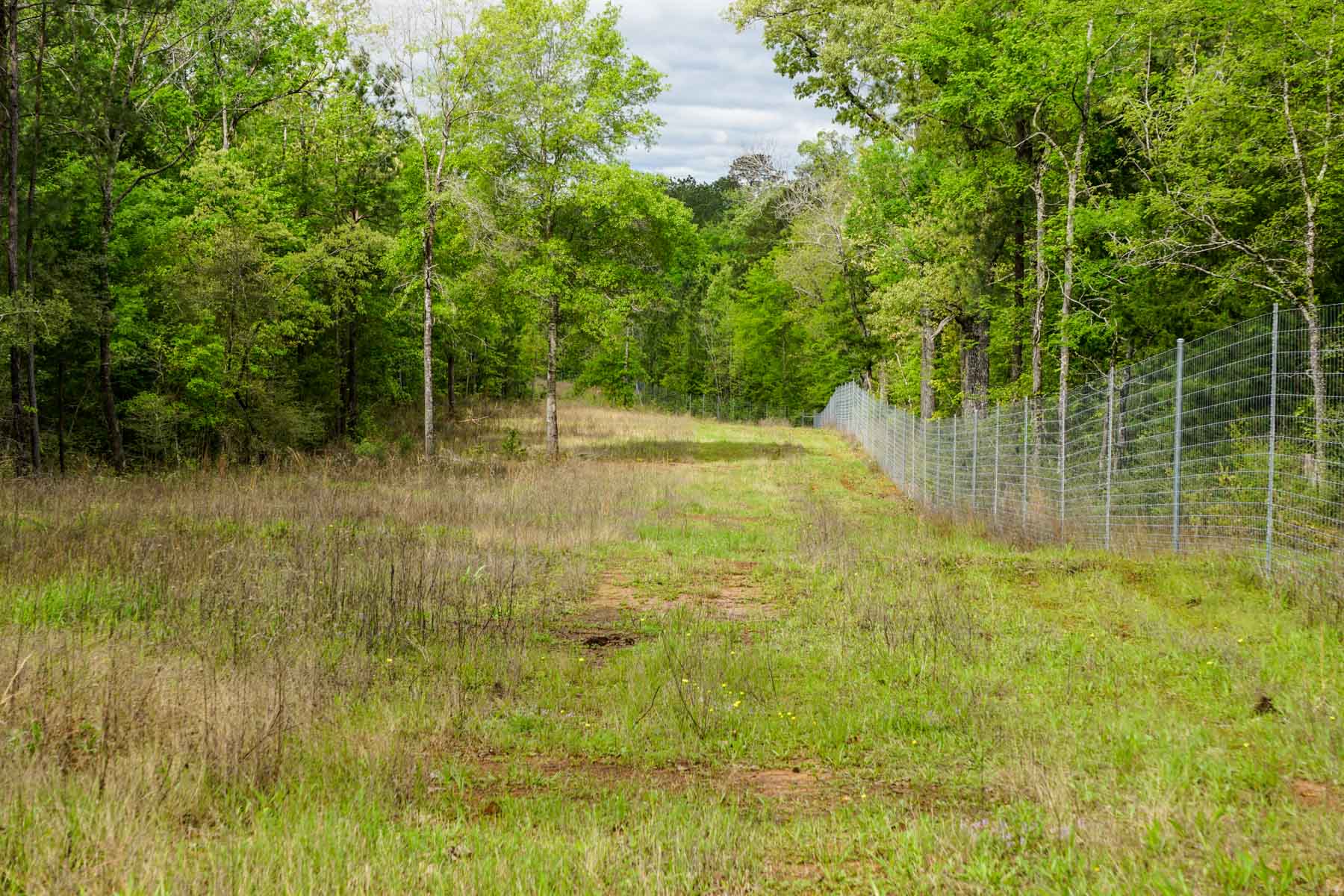 Iron Bridge Creek Ranch property picture 4 of 84