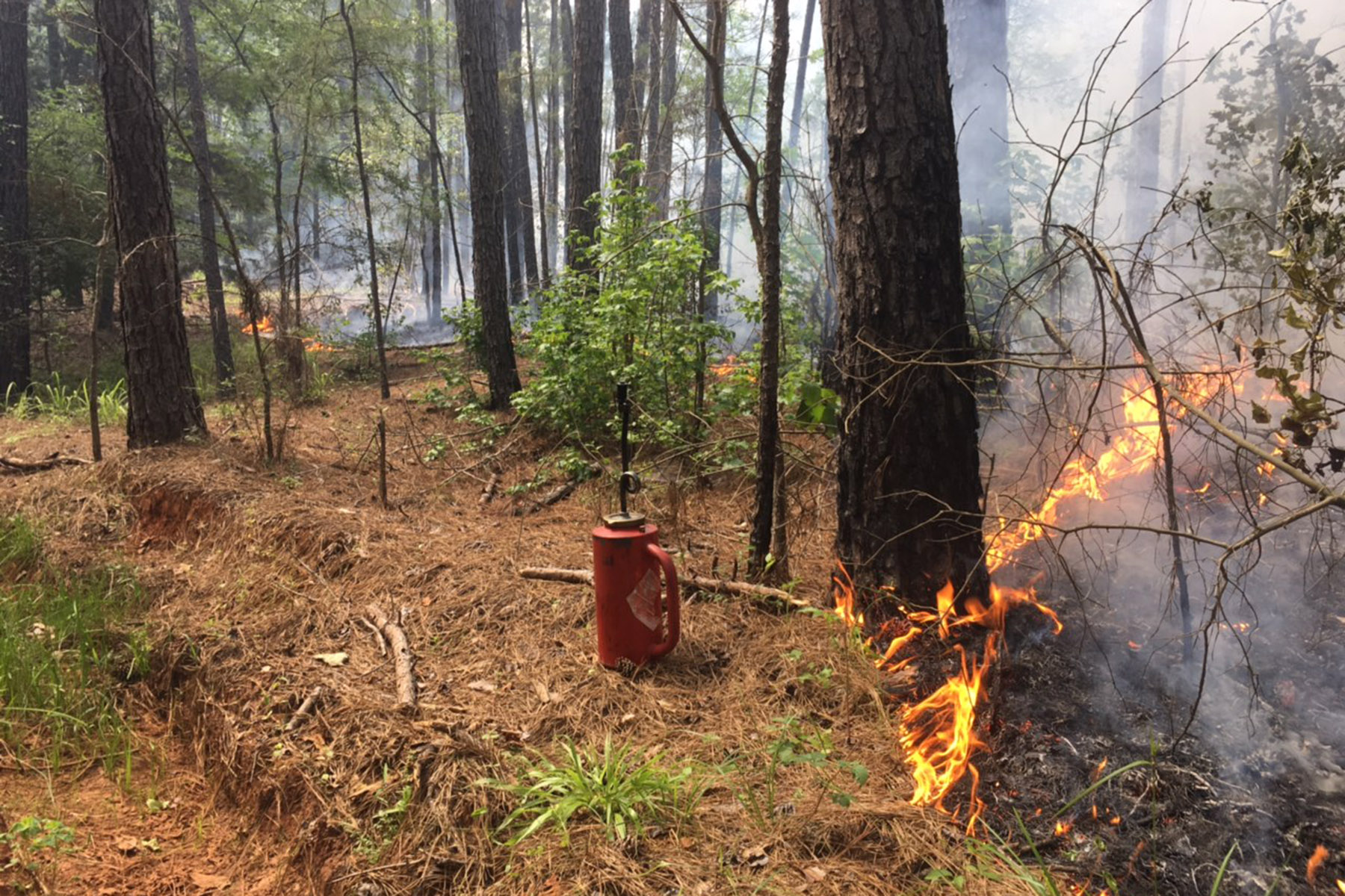 Iron Bridge Creek Ranch property picture 81 of 84