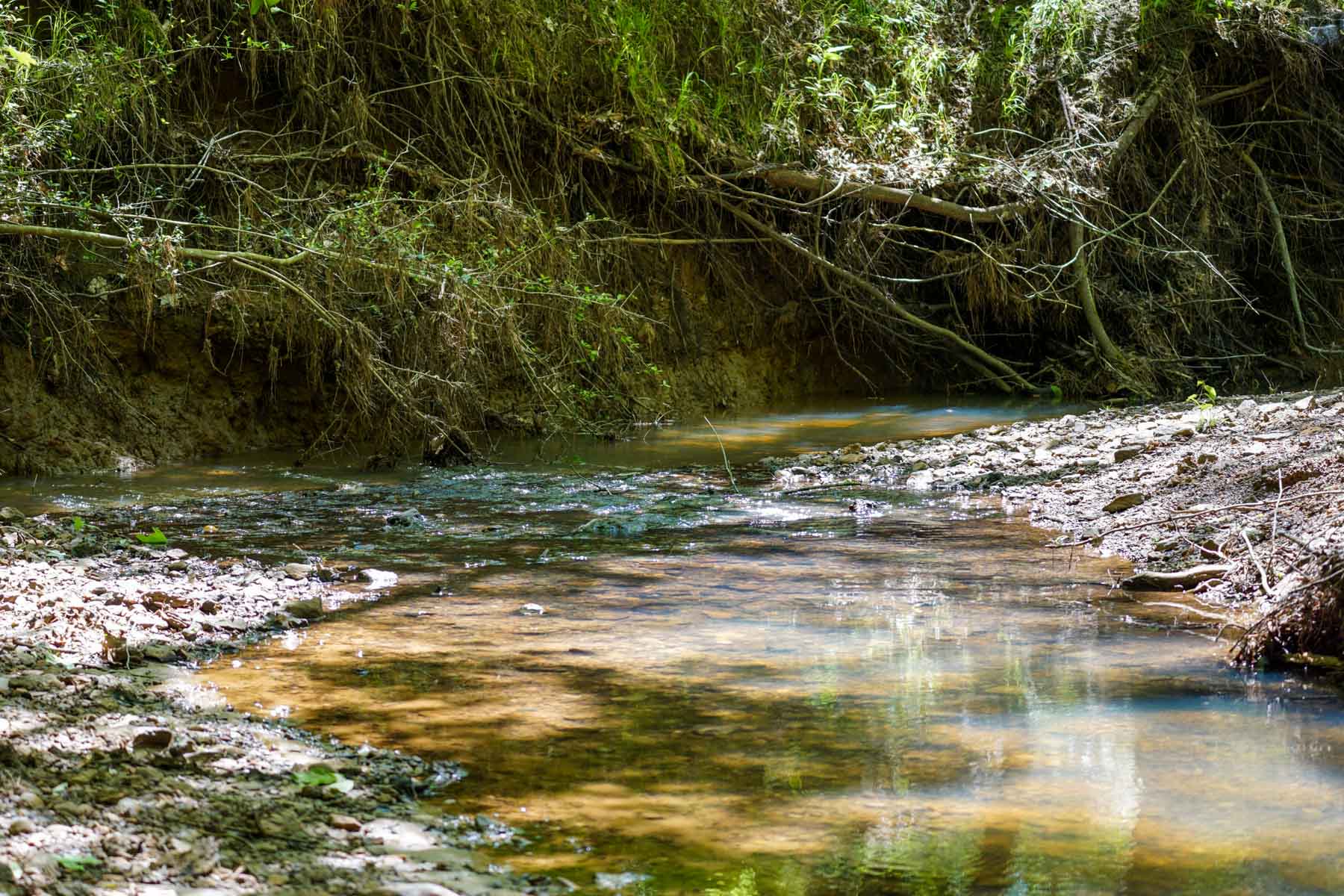 Iron Bridge Creek Ranch property picture 16 of 84