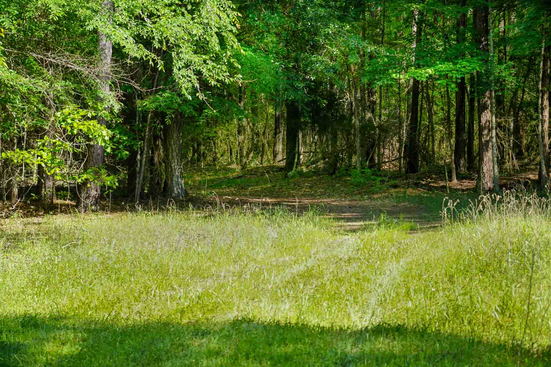 Iron Bridge Creek Ranch property picture 69 of 84