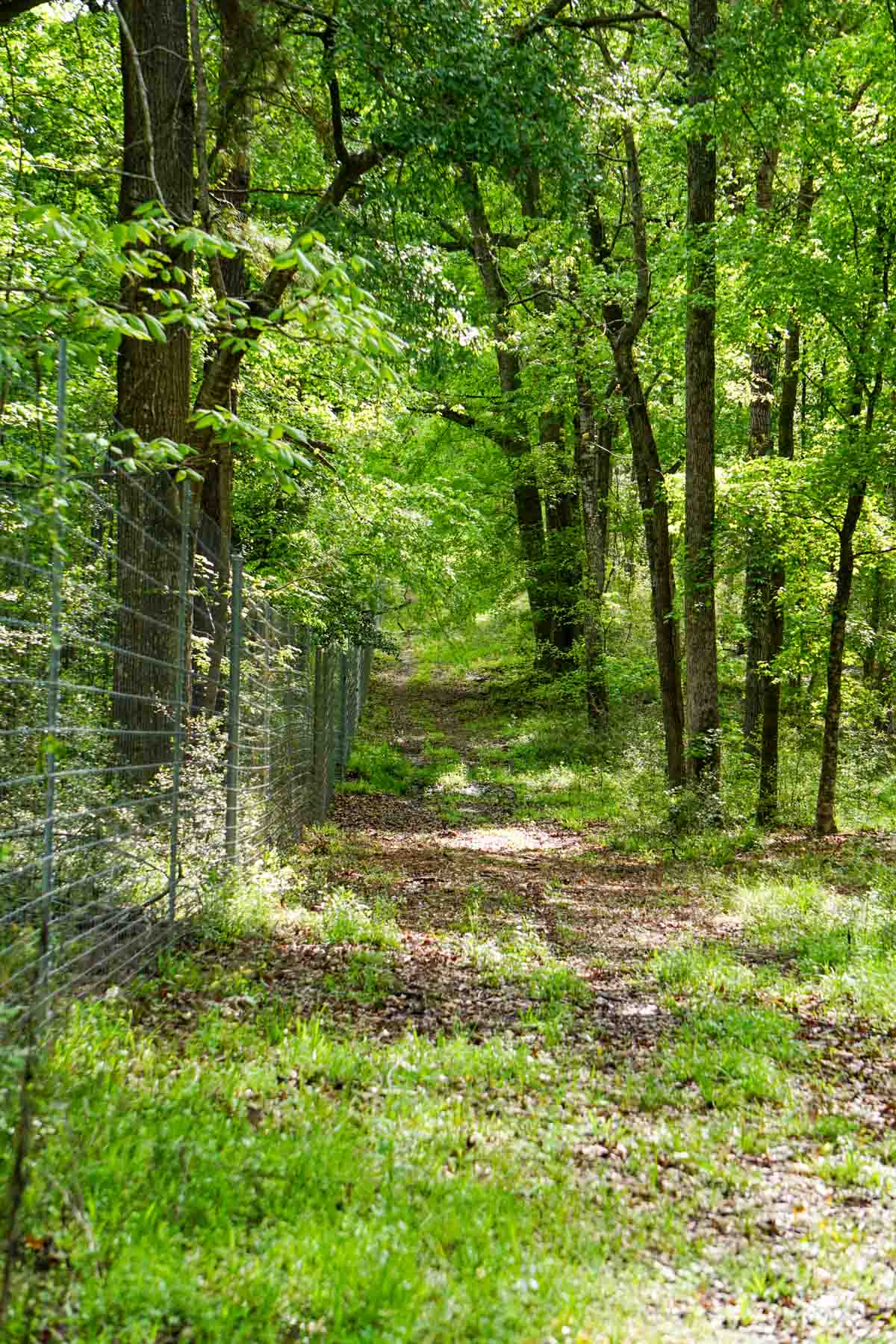 Iron Bridge Creek Ranch property picture 11 of 84