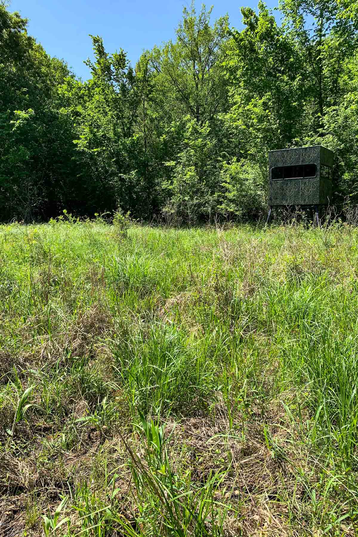 Iron Bridge Creek Ranch property picture 37 of 84