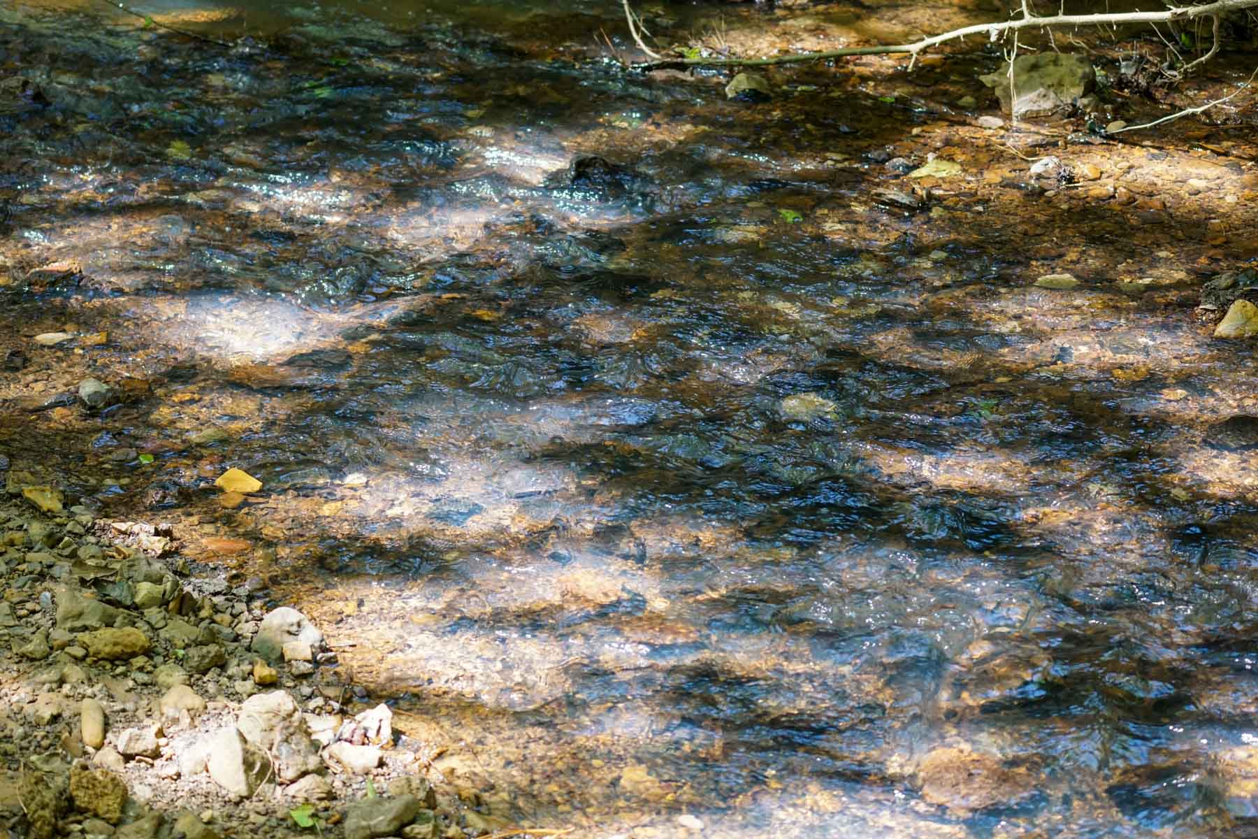 Iron Bridge Creek Ranch property picture 18 of 84