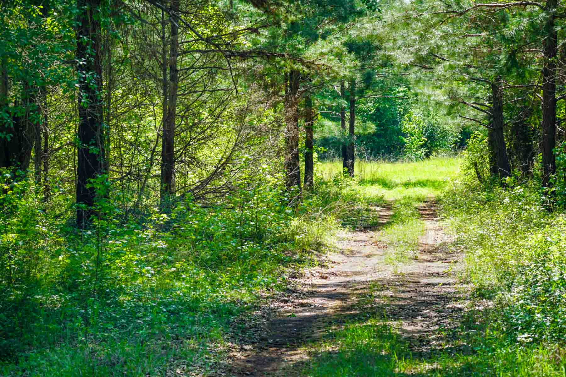 Iron Bridge Creek Ranch property picture 2 of 84