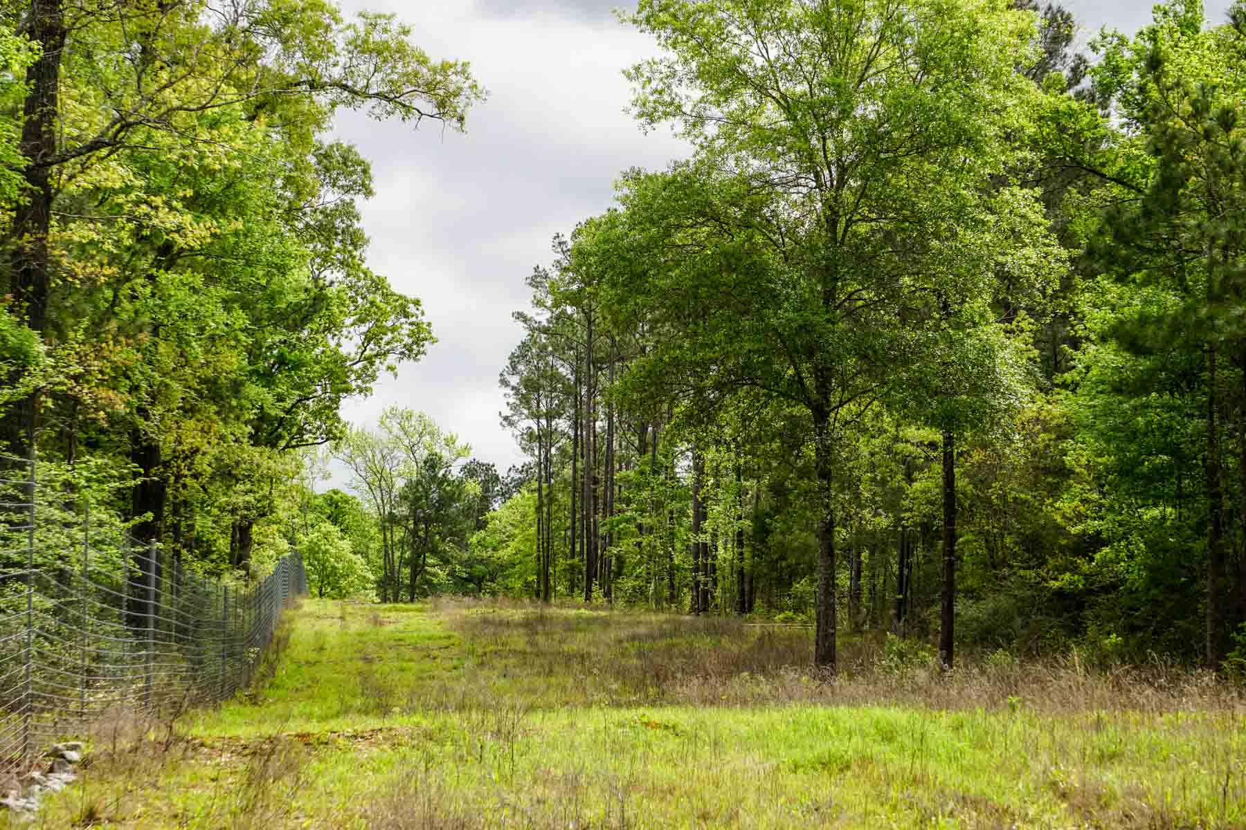 Iron Bridge Creek Ranch property picture 14 of 84