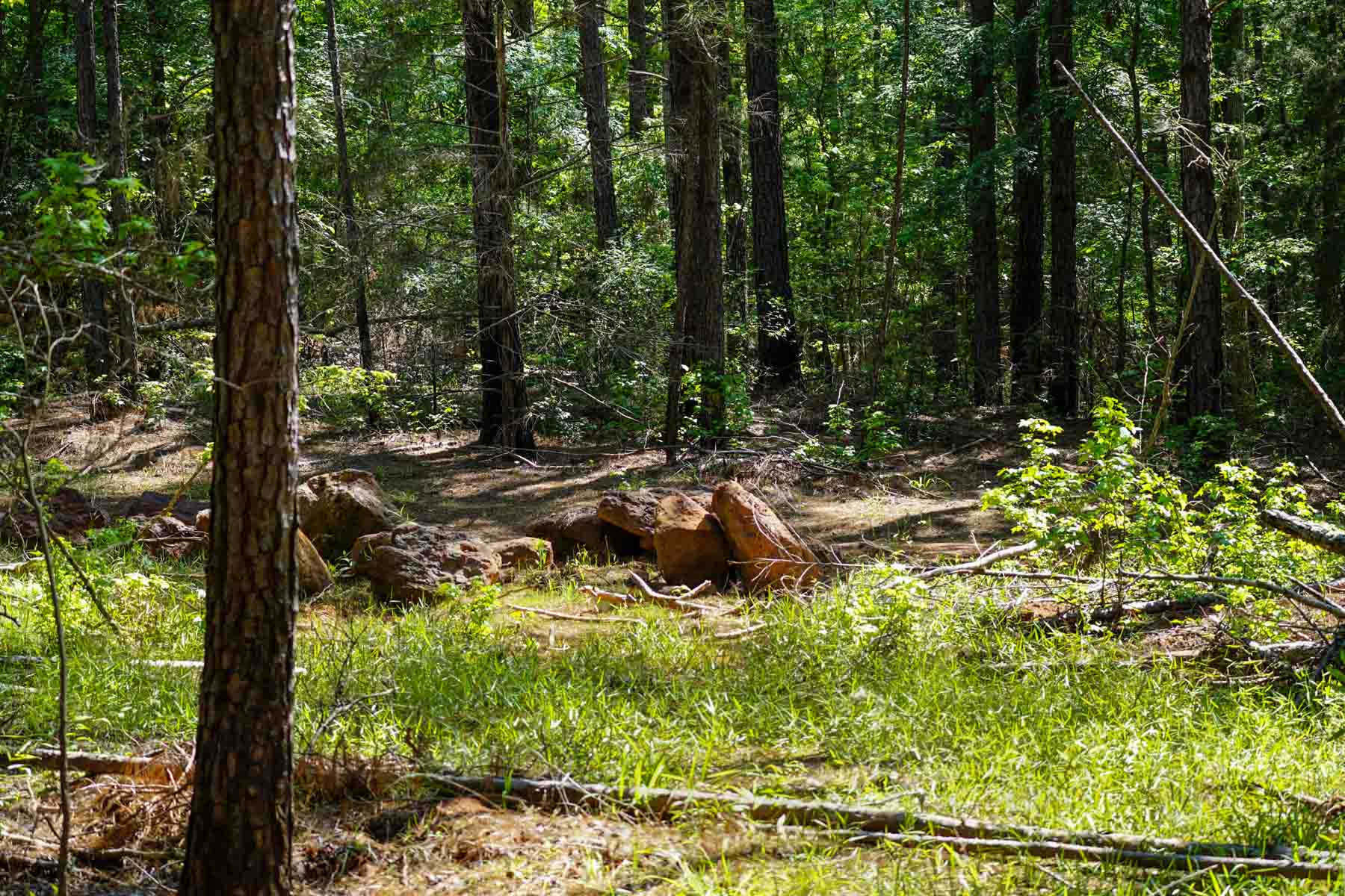 Iron Bridge Creek Ranch property picture 31 of 84