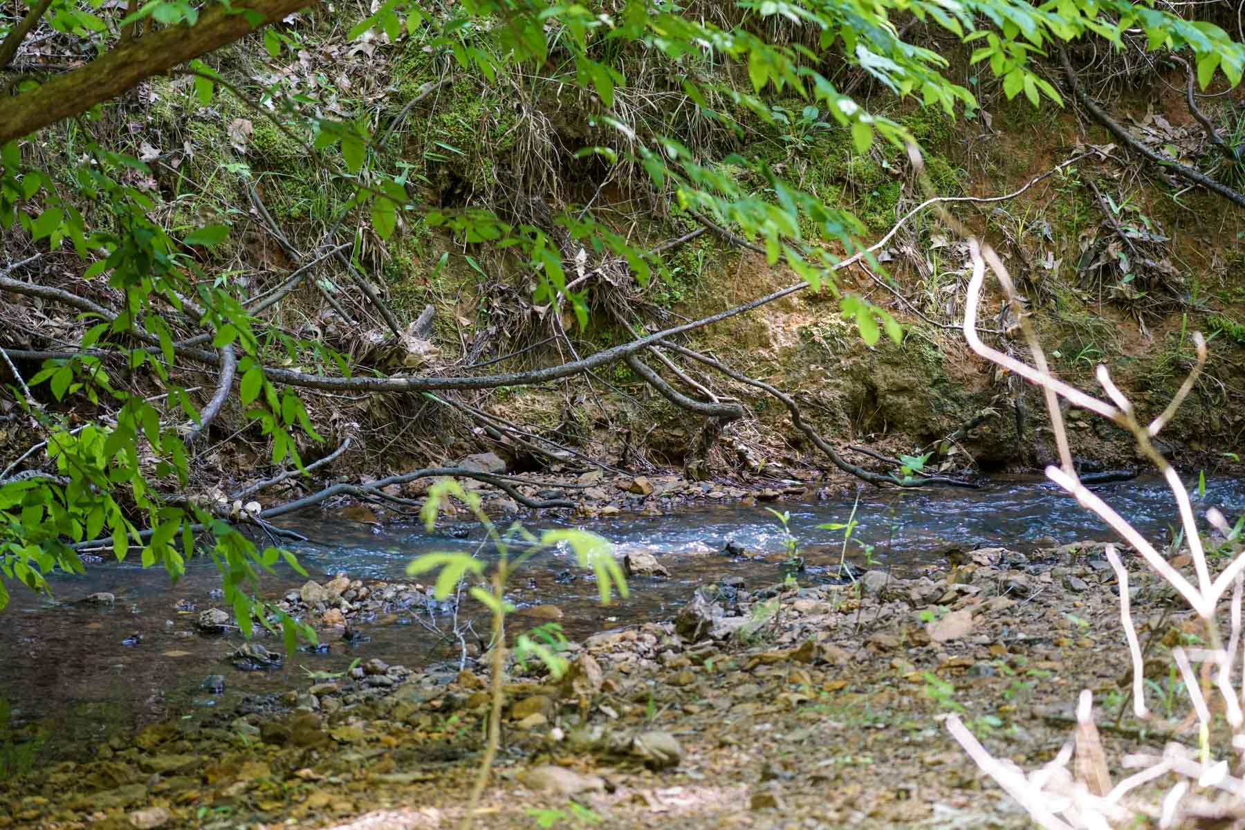 Iron Bridge Creek Ranch property picture 53 of 84