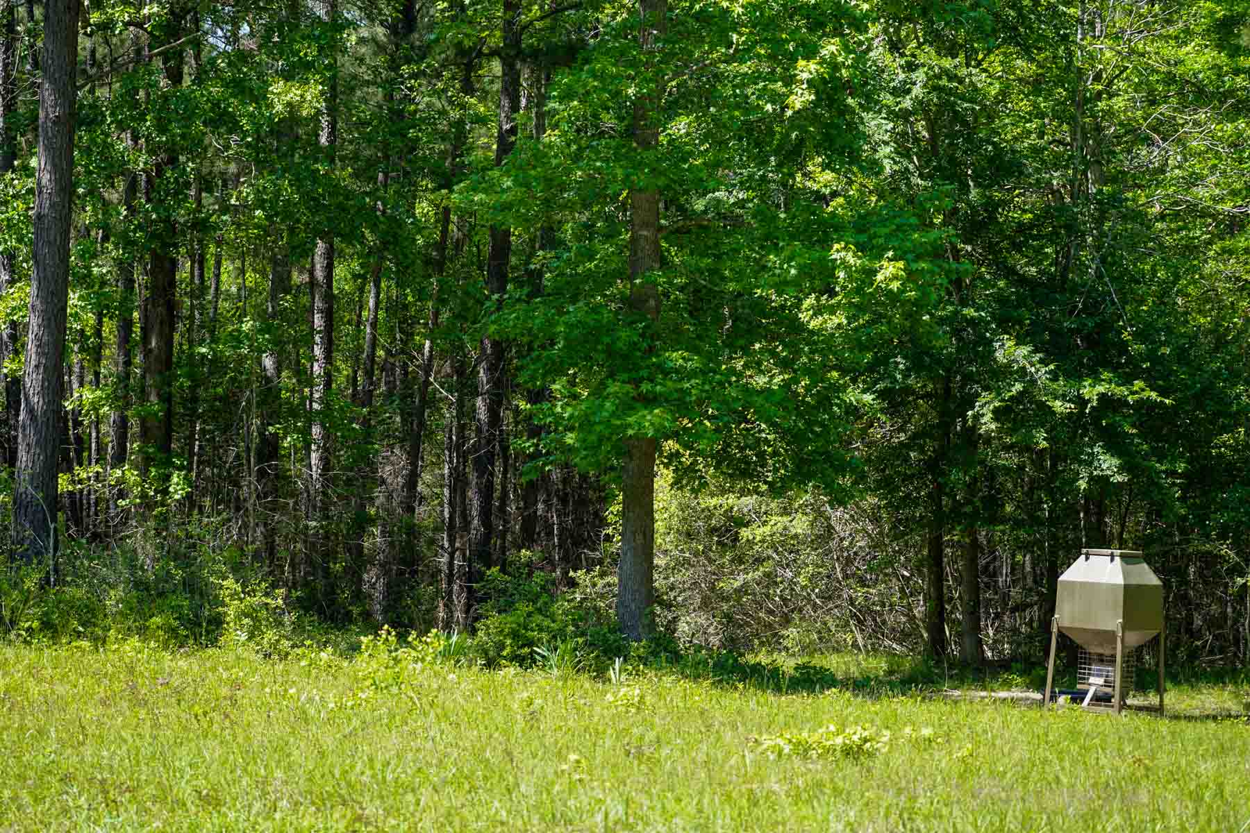 Iron Bridge Creek Ranch property picture 15 of 84