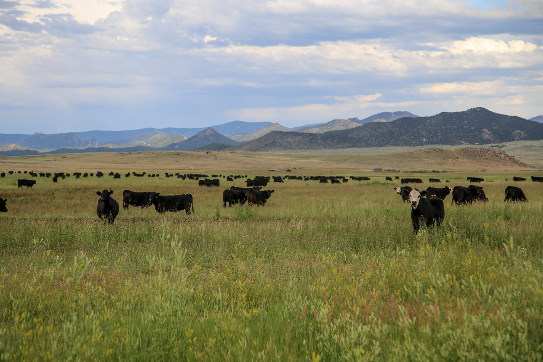 Beckwith Ranch property picture 14 of 15
