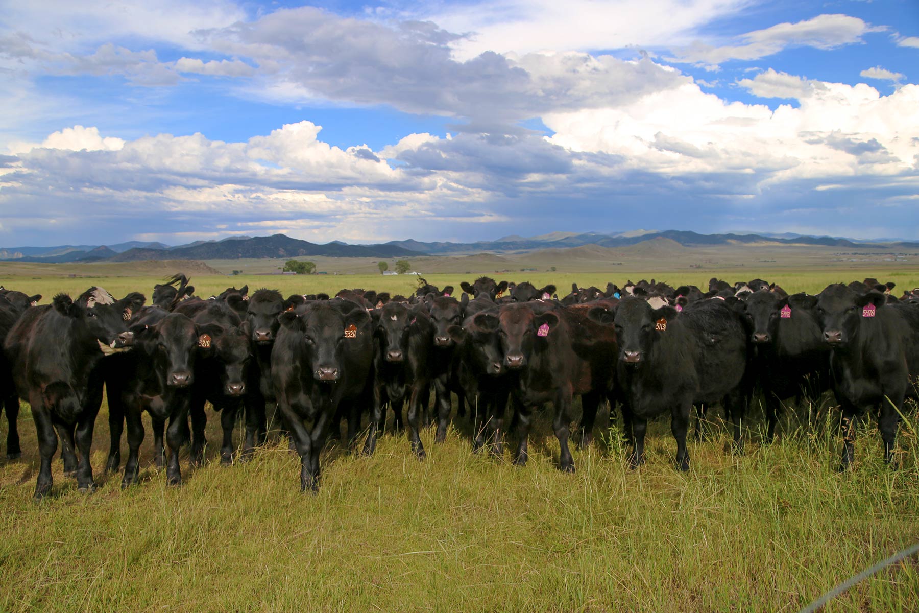 Beckwith Ranch property picture 4 of 15