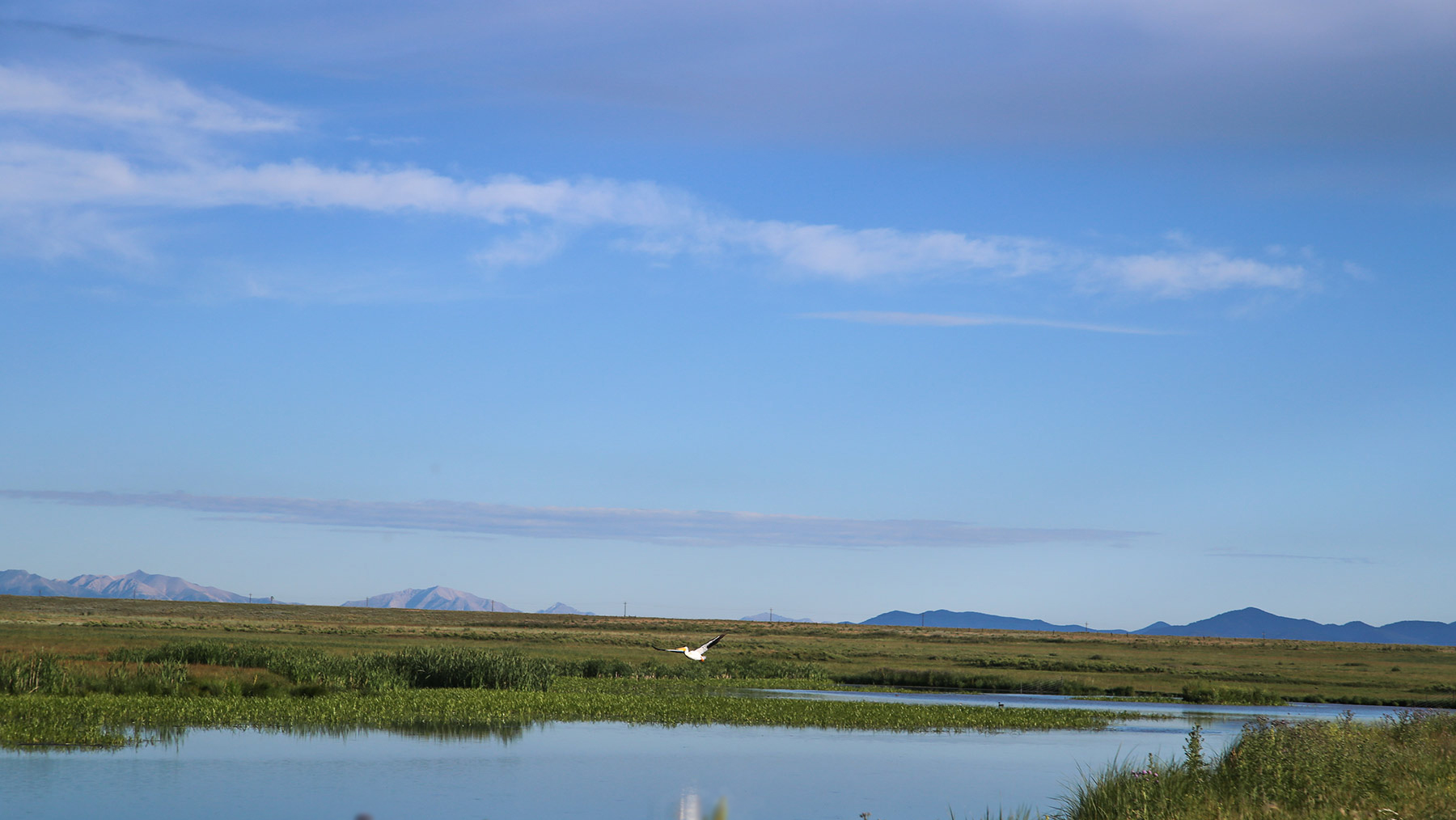 Beckwith Ranch property picture 8 of 15