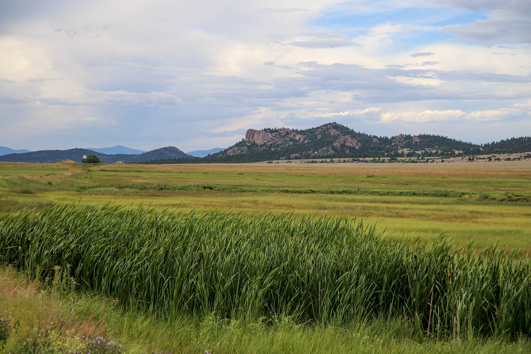 Beckwith Ranch property picture 2 of 15