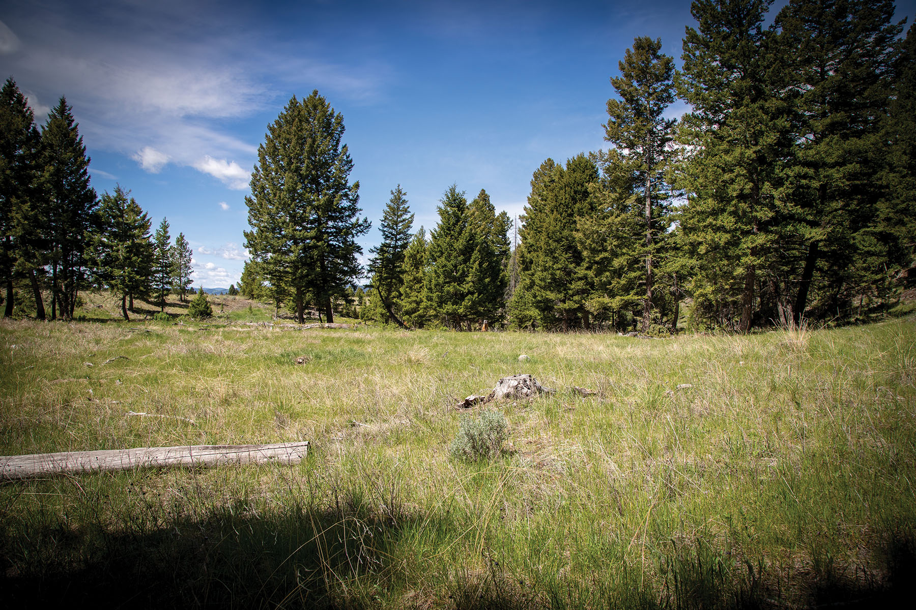 Discovery View #29 property picture 5 of 8